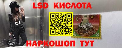 индика Железногорск