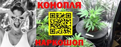 индика Железногорск