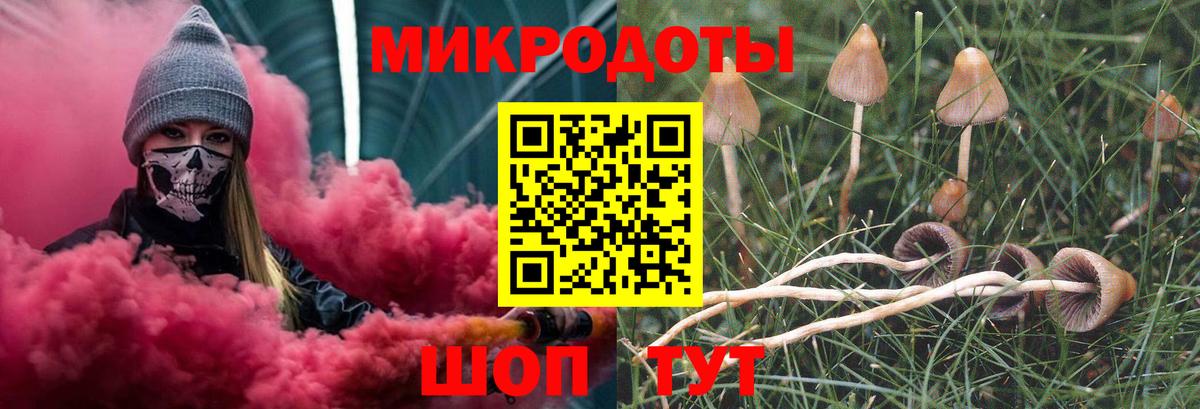 Галлюциногенные грибы Cubensis Краснодар